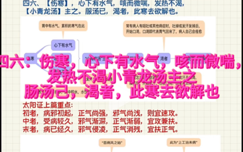 四六:伤寒心下有水气,咳而微喘,发热不渴,小青龙汤主之.服汤己,渴者,此寒去欲解也哔哩哔哩bilibili