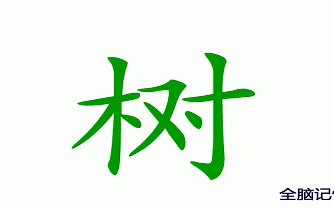 [图]识字树