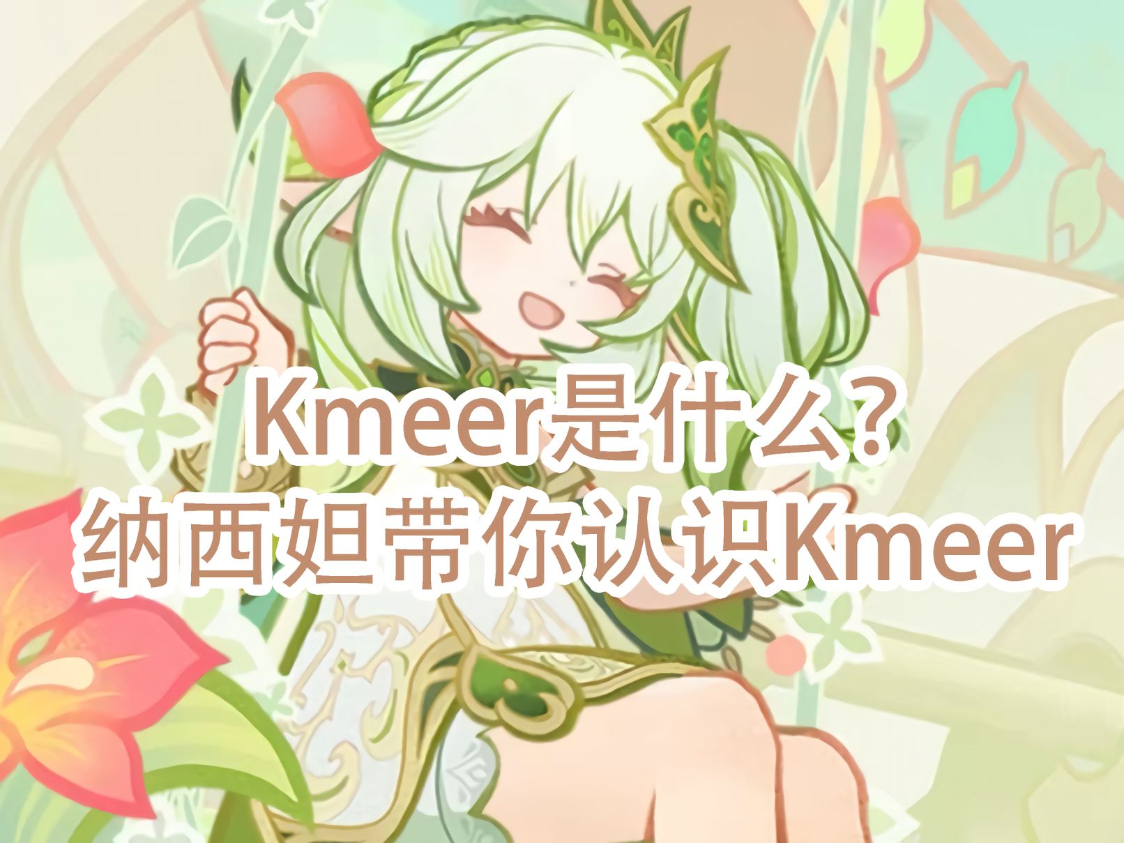 纳西妲的Kmeer小课堂之如何购买Kmeer【第一期】哔哩哔哩bilibili