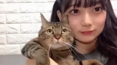 南波阳向-哔哩哔哩_Bilibili