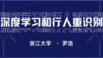 震惊！连汤姆猫都在看的【深度学习和行人重识别】！罗浩博士带你学会深度学习入门与行人重识别代码实战！——深度学习/神经网络算法/pytorch/GAN