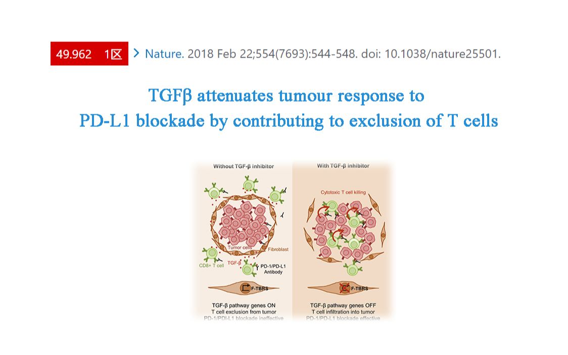 TGF‹通过促进T细胞排斥减弱肿瘤对PDL1阻断剂的反应哔哩哔哩bilibili
