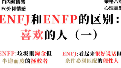 SonaDrawzStuffYT MBTI Personality Type: ENFP or ENFJ?