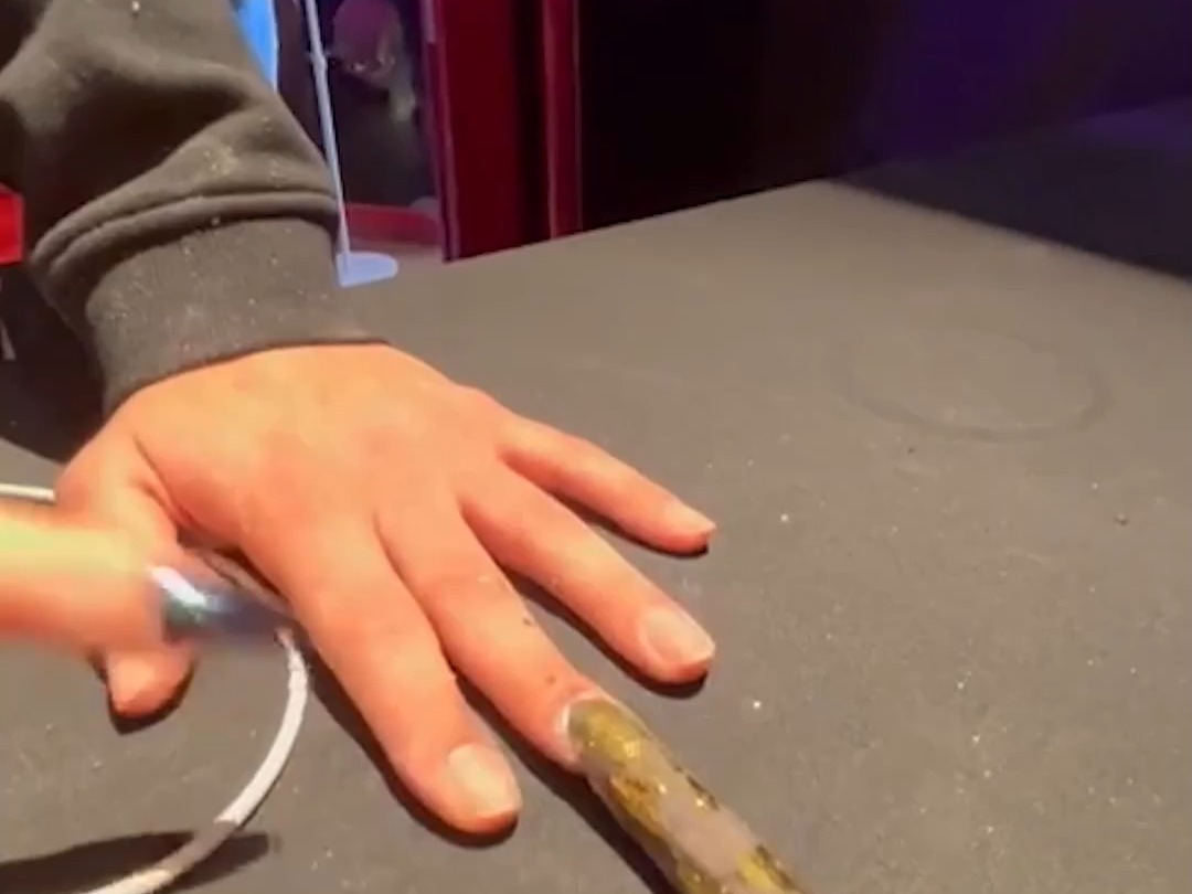 世界上最长的指甲