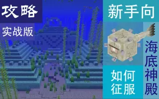 海底神殿 搜索结果 哔哩哔哩 Bilibili