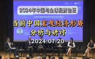 Download Video: 【圆桌论坛】当前中国宏观经济形势分析与研讨 2024年中国与全球经济论坛20240720