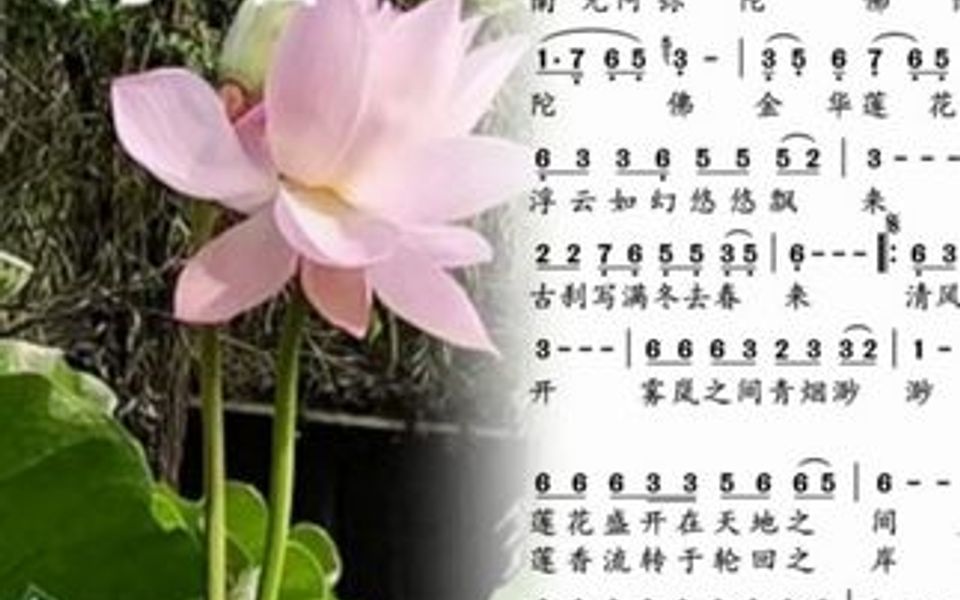 [图]新歌老歌大家唱。《金华莲花开》