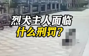 Tải video: 2岁女童遭烈犬撕咬 狗主人可能面临什么刑罚？