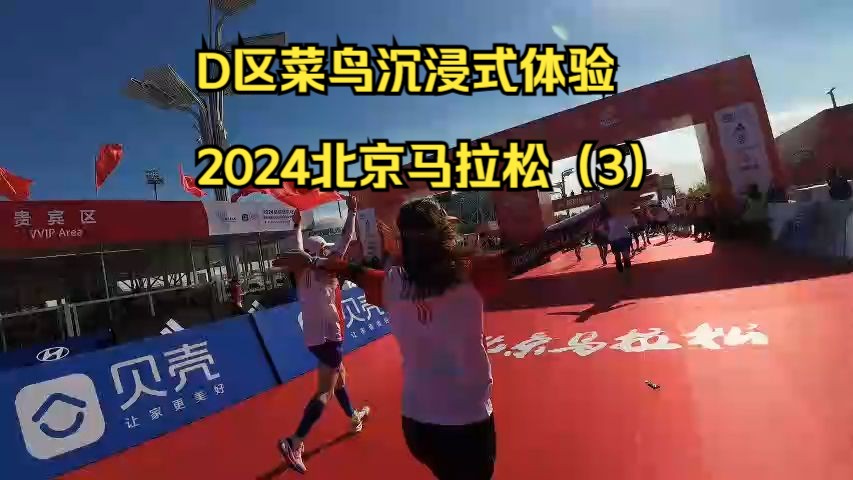 D区菜鸟沉浸式体验2024北京马拉松(3)哔哩哔哩bilibili