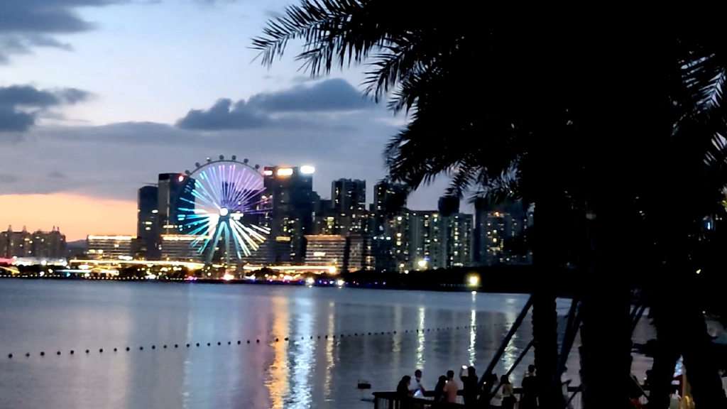 前海石公园夜景图片