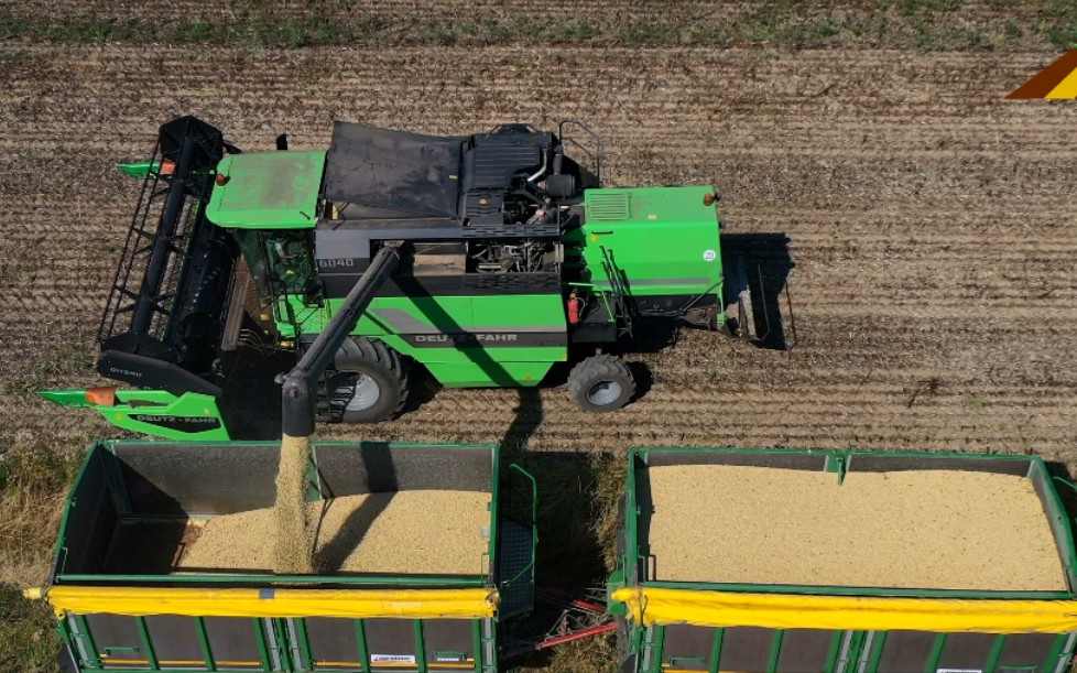 道依茨法尔(deutz-fahr)6040联合收割机蚕豆收获作业