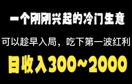 一个刚刚兴起的冷门生意,日收入300~2000,一年时间买车买房!哔哩哔哩bilibili