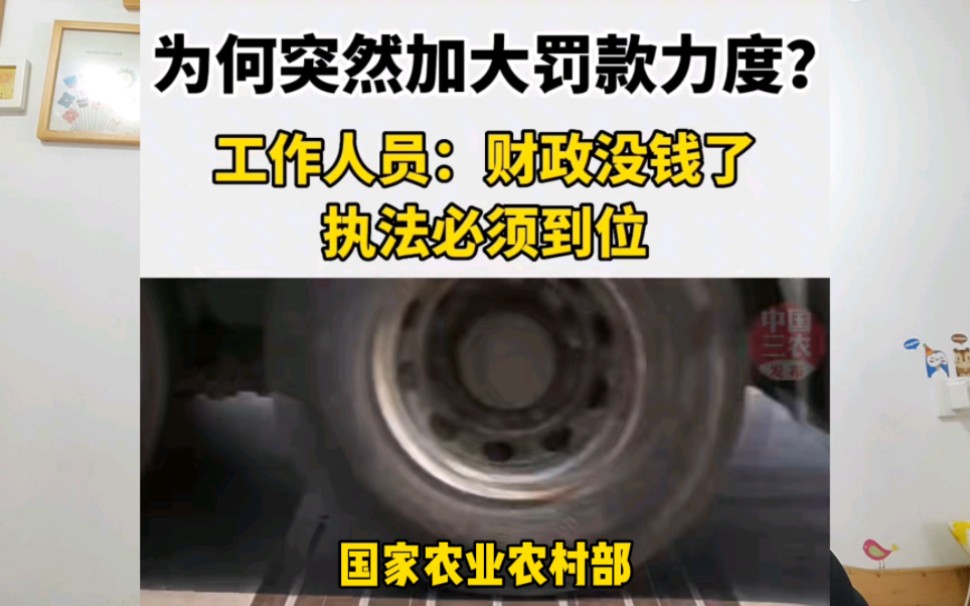 老家河南欢迎你:卡车司机安阳拉货工作,鹤壁买房生活哔哩哔哩bilibili