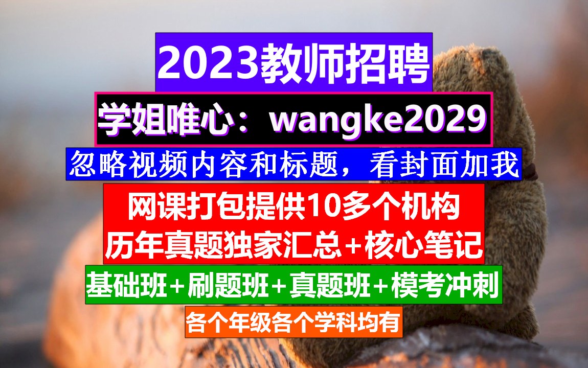 23年教师招聘初高中地理,教师招聘哪个网站报名,教师招聘公告哔哩哔哩bilibili