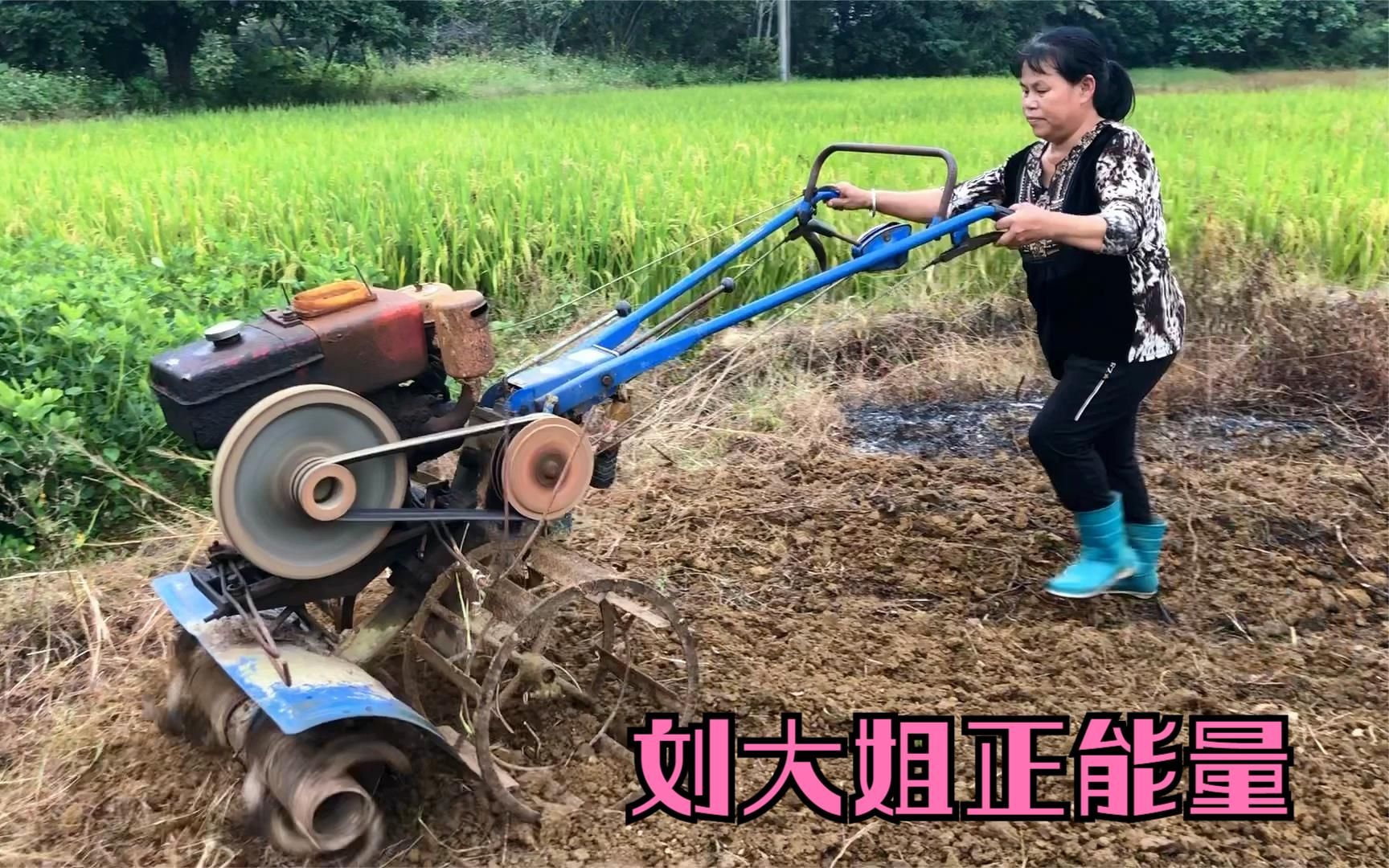 活动作品老公不在家农人大姐自己开着爬田机爬地干活一点也不输给男的