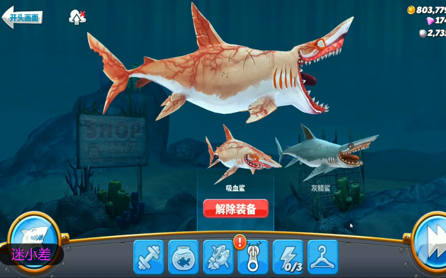 饥饿鲨进化灰鲭鲨图片
