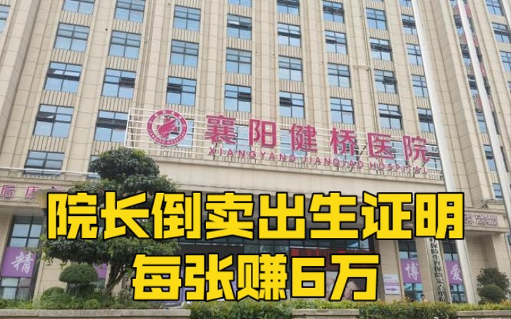 湖北襄阳一医院院长倒卖出生证明,每张赚6万哔哩哔哩bilibili