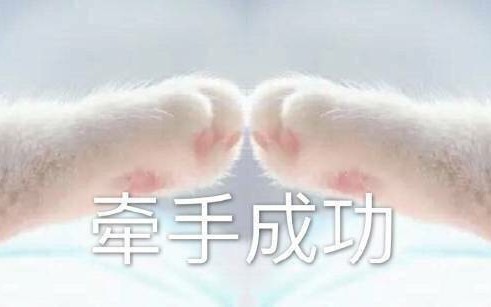 【黄明昊】听听我说的吧 武汉0727哔哩哔哩bilibili