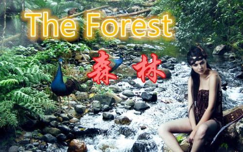 【森林The Forest】多人生存EP6 前往飞机头 发现小手枪哔哩哔哩bilibili