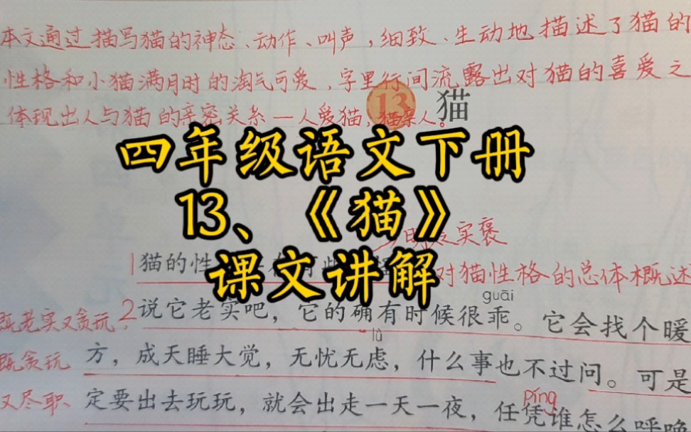 四下13、《猫》课文讲解哔哩哔哩bilibili