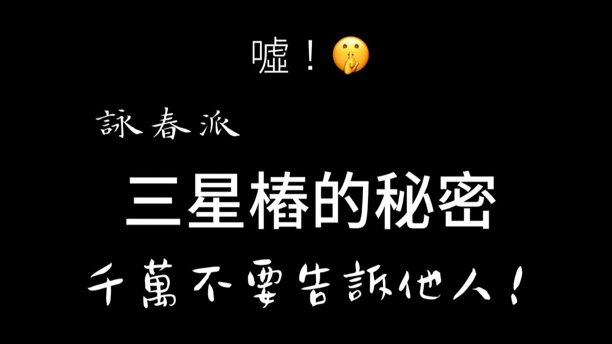 独家发布!千万不要告诉他人!咏春派三星桩的秘密!哔哩哔哩bilibili