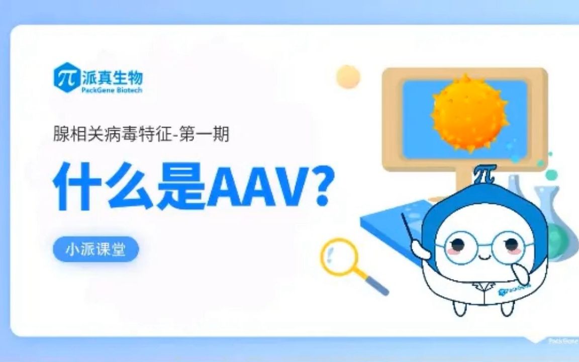 小派课堂第一期什么是AAV?哔哩哔哩bilibili