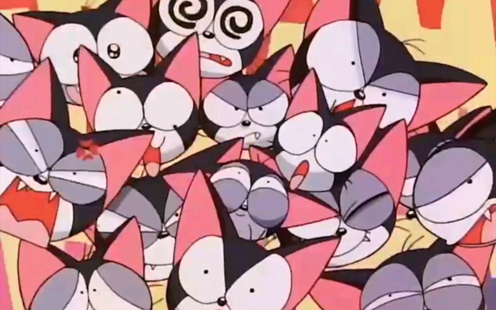 超级小黑咪 B站