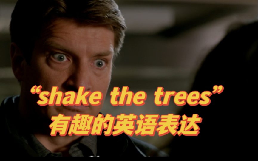 “shake the trees”有趣的英语表达哔哩哔哩bilibili