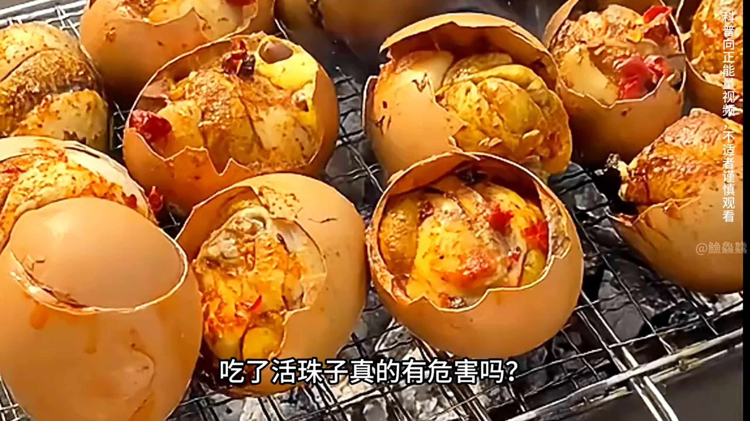 活珠子真的对人体有好处吗?