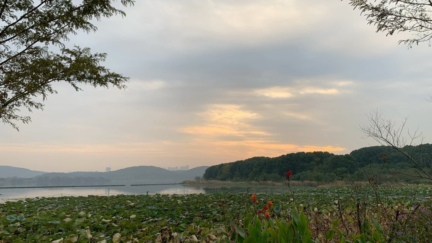 [图]大美东湖，荒郊野道