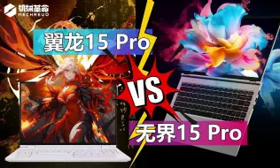 Download Video: 重量只差100g 喜欢无界15 Pro 为啥不买性能更强 续航更久的翼龙15 Pro？