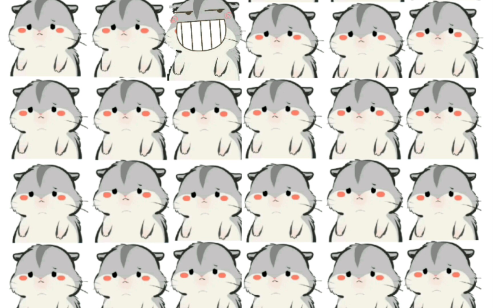 小约翰可汗有丝分裂