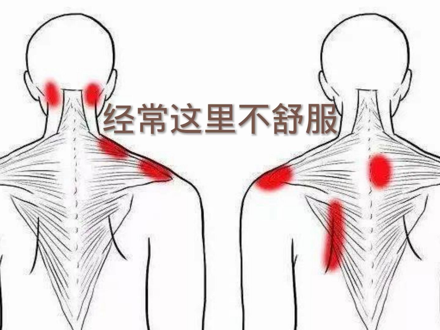 肩颈僵硬酸痛大都这里堵了,两个动作20下,肩颈通了好轻松哔哩哔哩bilibili