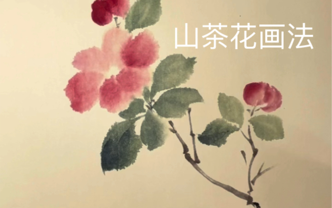 国画写意山茶花画法哔哩哔哩bilibili