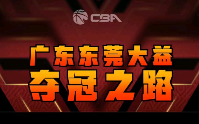 广东东莞大益队史十一冠