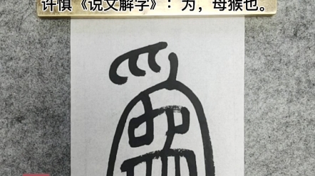 [图]说文解字“为”