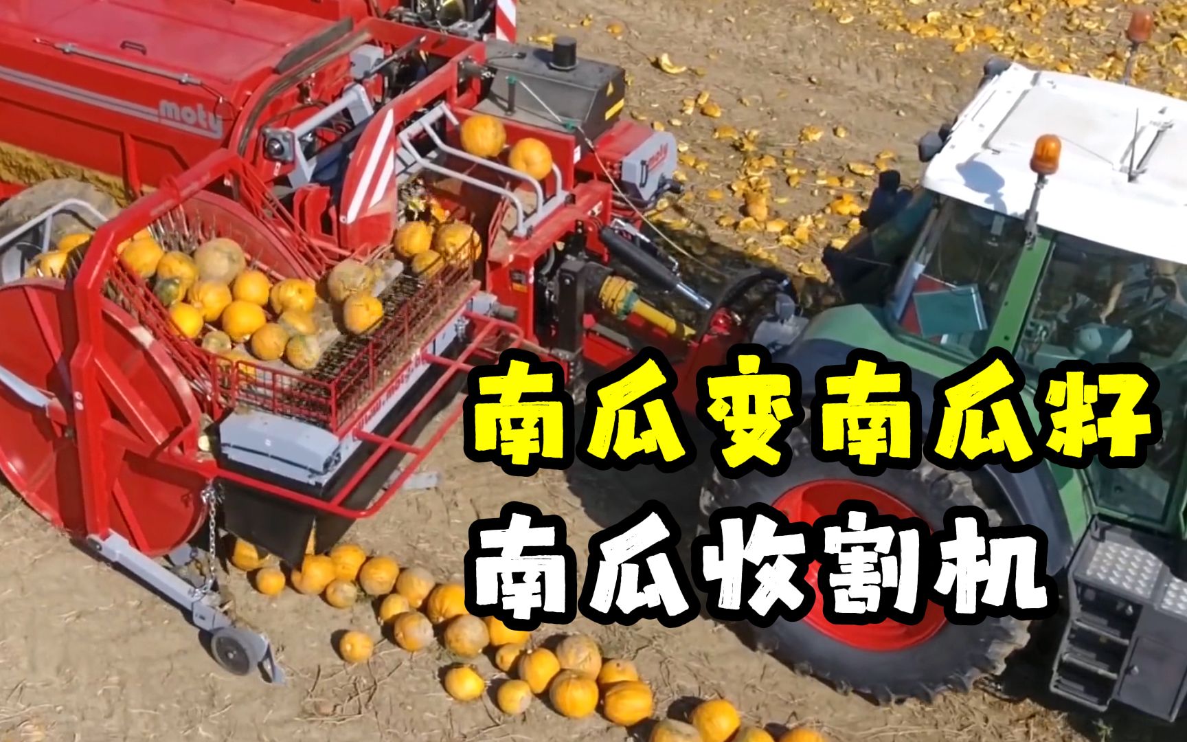 神奇的全自动南瓜收割机,南瓜秒变南瓜籽,实现吃瓜吐籽一体化