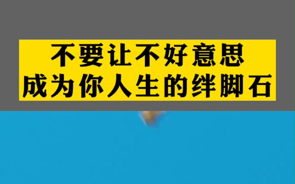 不要让不好意思成为你人生的绊脚石哔哩哔哩bilibili