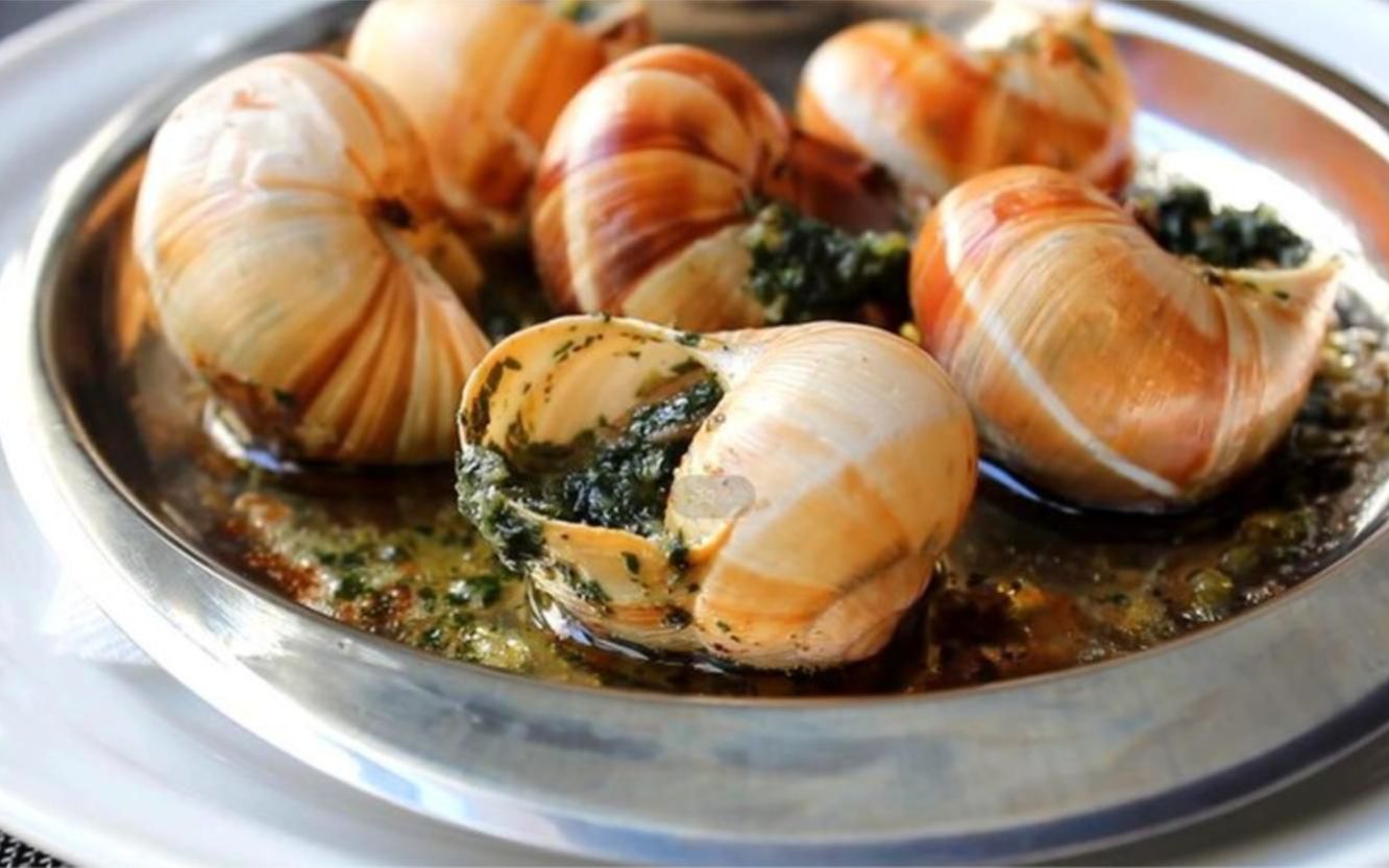 为啥很贵的法国蜗牛,在国外一年能被吃掉几亿只,在国内没人吃