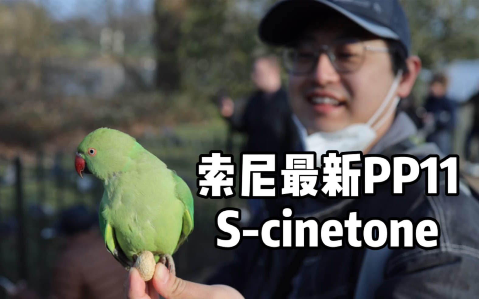 索尼最新色彩pp11 scinetone哔哩哔哩bilibili