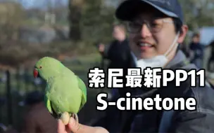 Download Video: 索尼最新色彩pp11 s-cinetone