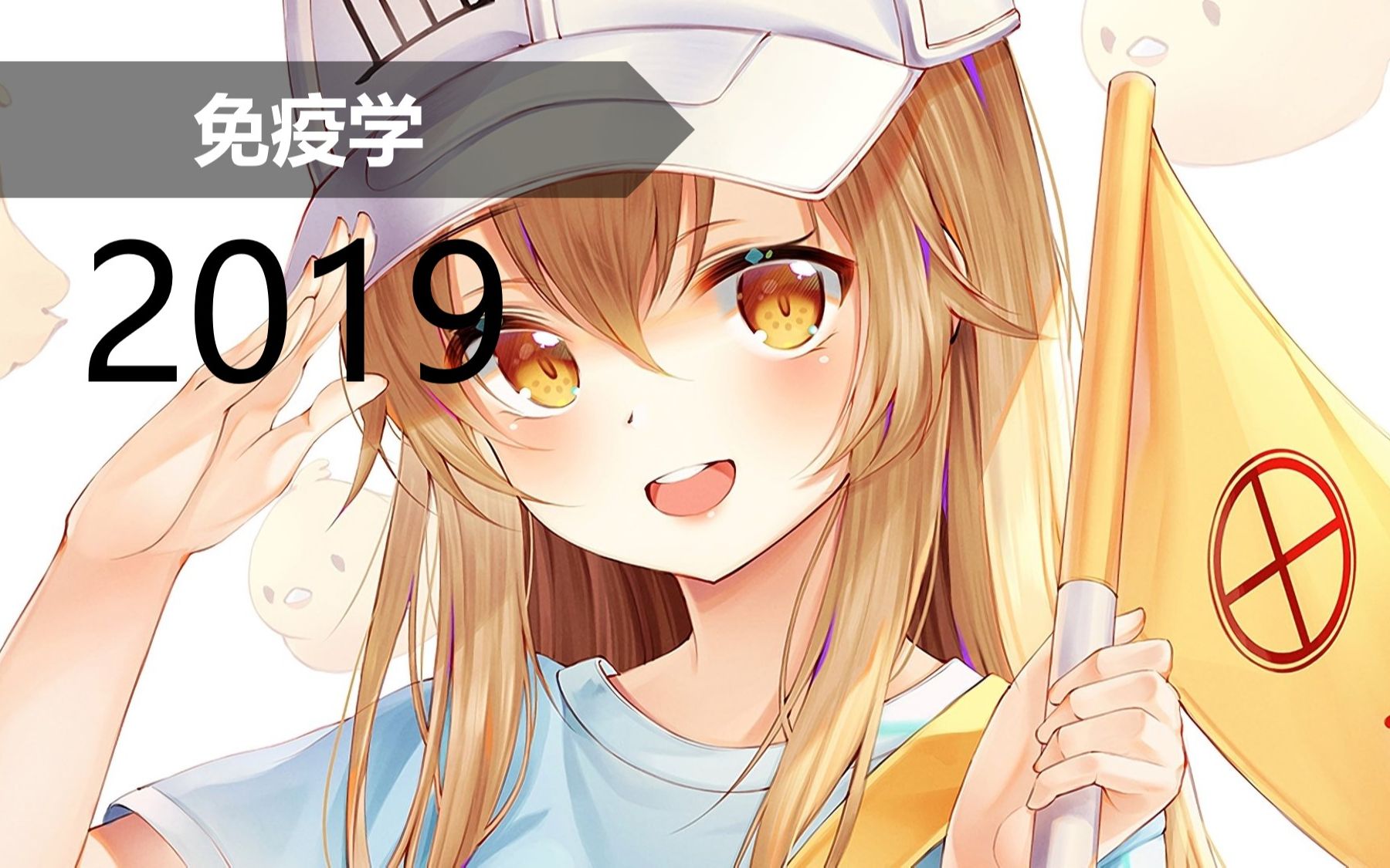 【免疫】免疫学 20182019哔哩哔哩bilibili