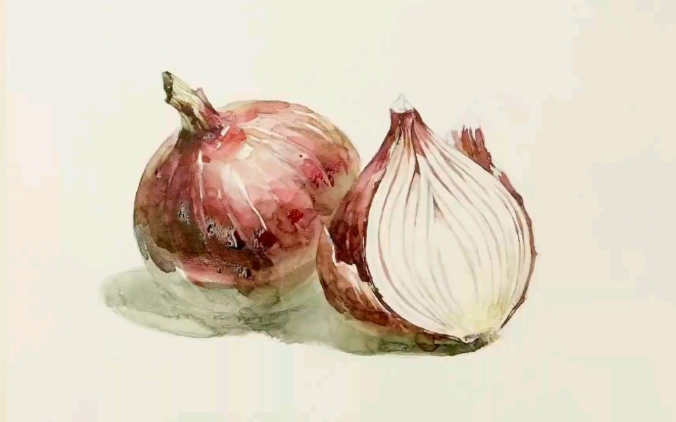 【youtube搬运】【手绘水彩】怎样画一个红色洋葱【水彩过程】水彩必