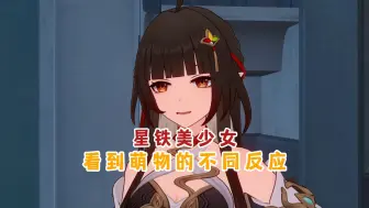 Descargar video: 星铁不同美少女看到萌物的反应，不愧是青雀，不乱于心