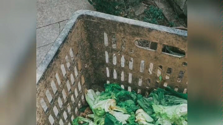 [图]农村可爱的动物cute animals in countryside