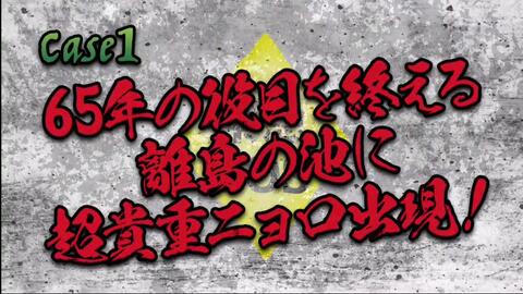 緊急sos 池の水ぜんぶ抜く大作戦 山の奥でひっそり 忘れ去られた放置池ｓｐ 字 哔哩哔哩 Bilibili