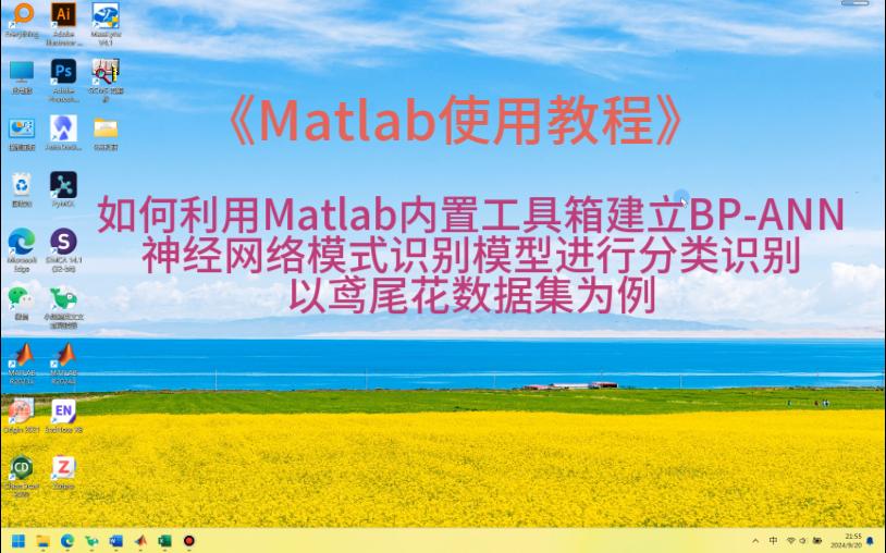 利用Matlab内置工具箱建立BPANN神经网络模型进行分类识别以鸢尾花数据集为例哔哩哔哩bilibili