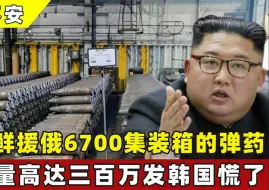 Video herunterladen: 朝鲜援助大俄6700集装箱，高达300万发的弹药，为何韩国坐立不安