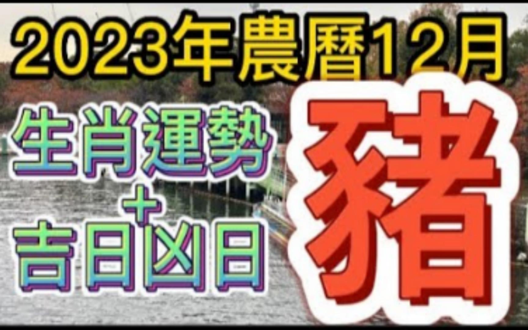 [图]【张古柏】【每月运势 + 吉日凶日】2023年农历十二月(阳历2024年1.11 ~ 2.9)生肖运势分享 -  猪