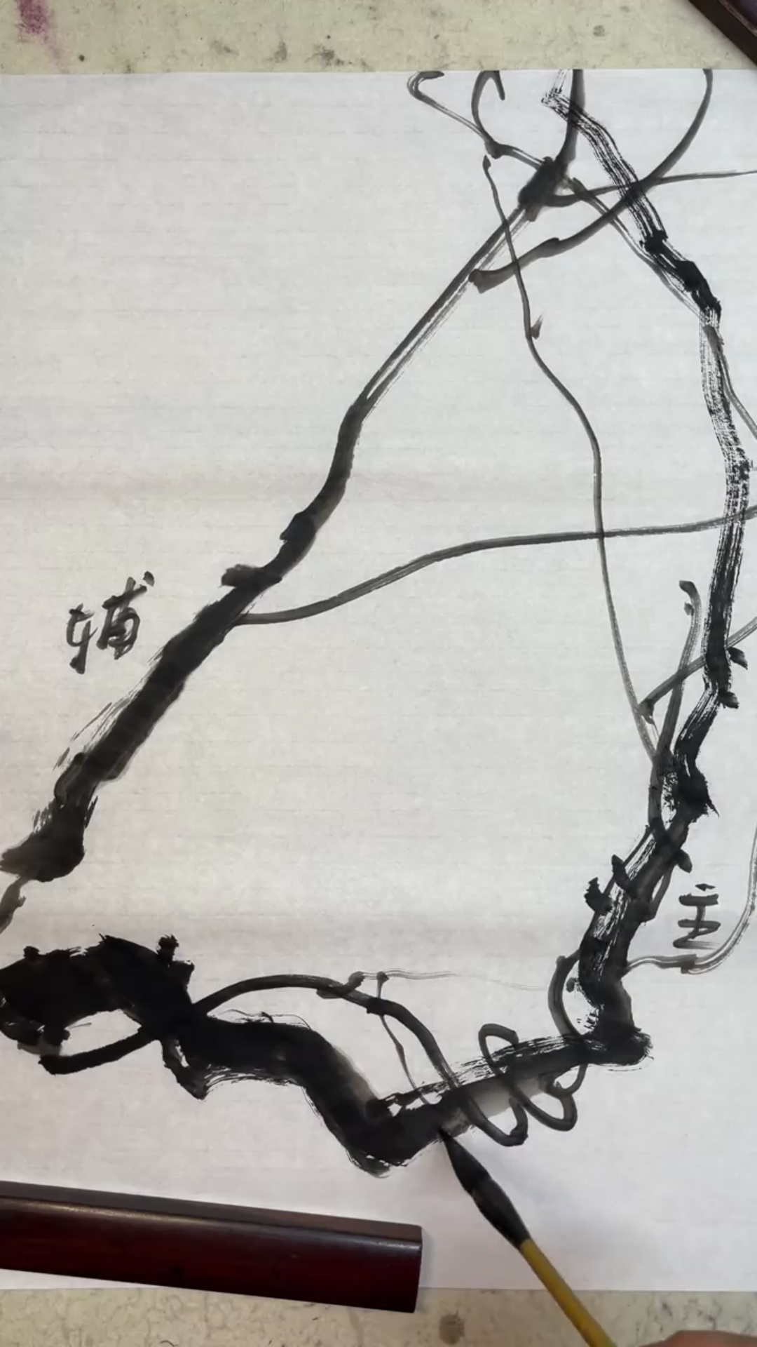 国风奇妙纪百花录藤蔓的基本组成结构和线条国画教程水墨写意少儿国画